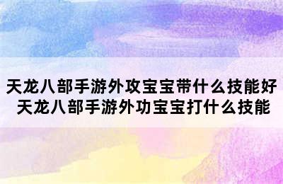 天龙八部手游外攻宝宝带什么技能好 天龙八部手游外功宝宝打什么技能